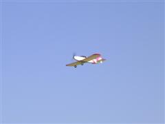 PICT1627.JPG